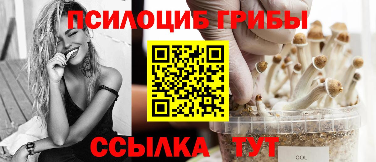 Галлюциногенные грибы Magic Shrooms  Вход с VPN  Семилуки 